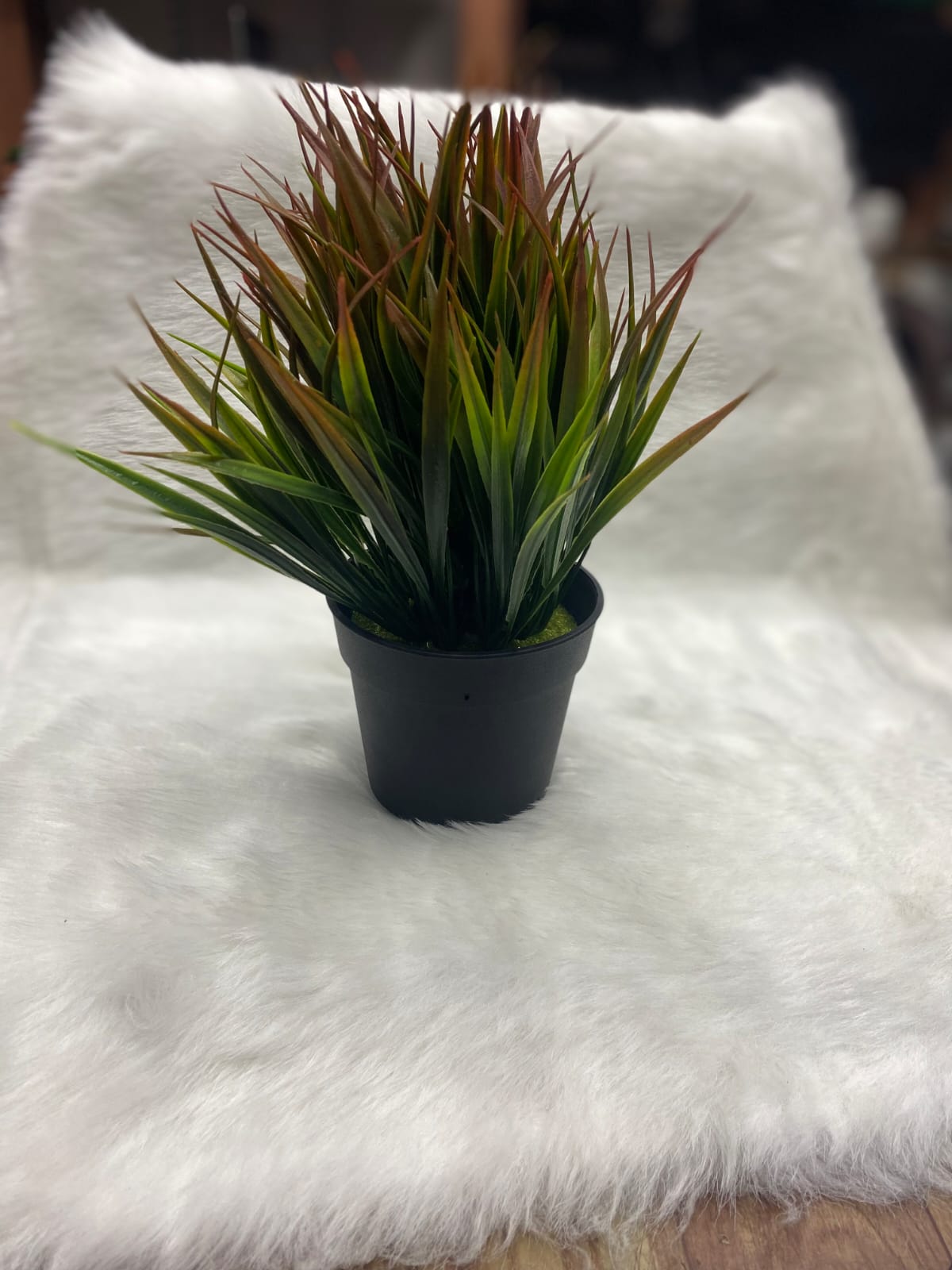 Spy Flower Pot Camera - spyhub.in